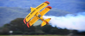 Wings Over Shellharbour